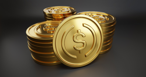 mBaer Necessities 06 / 2025